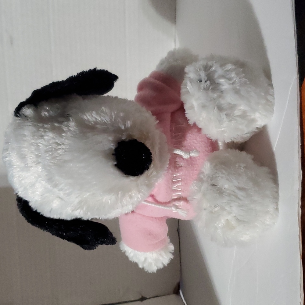 Snoopy plush with Cedar Point hoodie